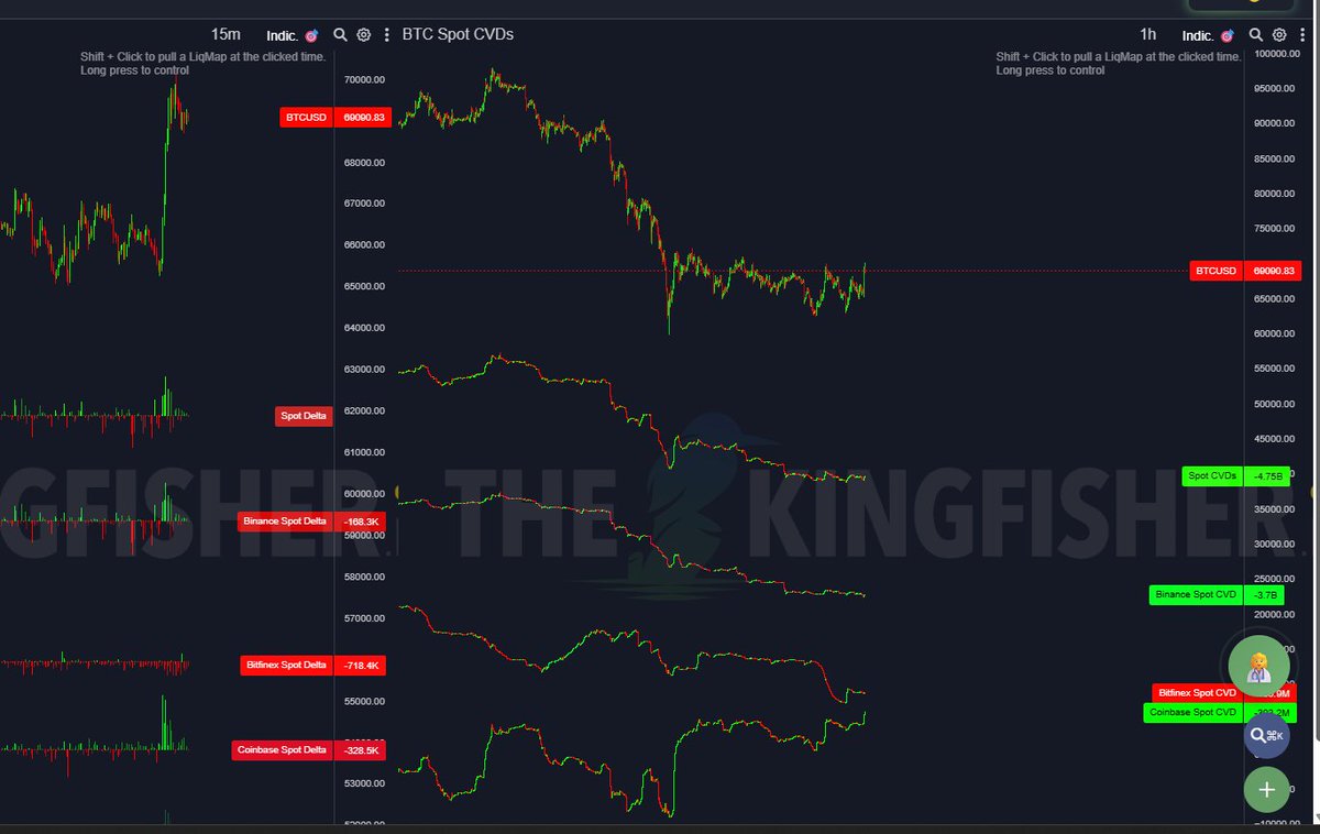 BLITZZ 🎒 tweet media
