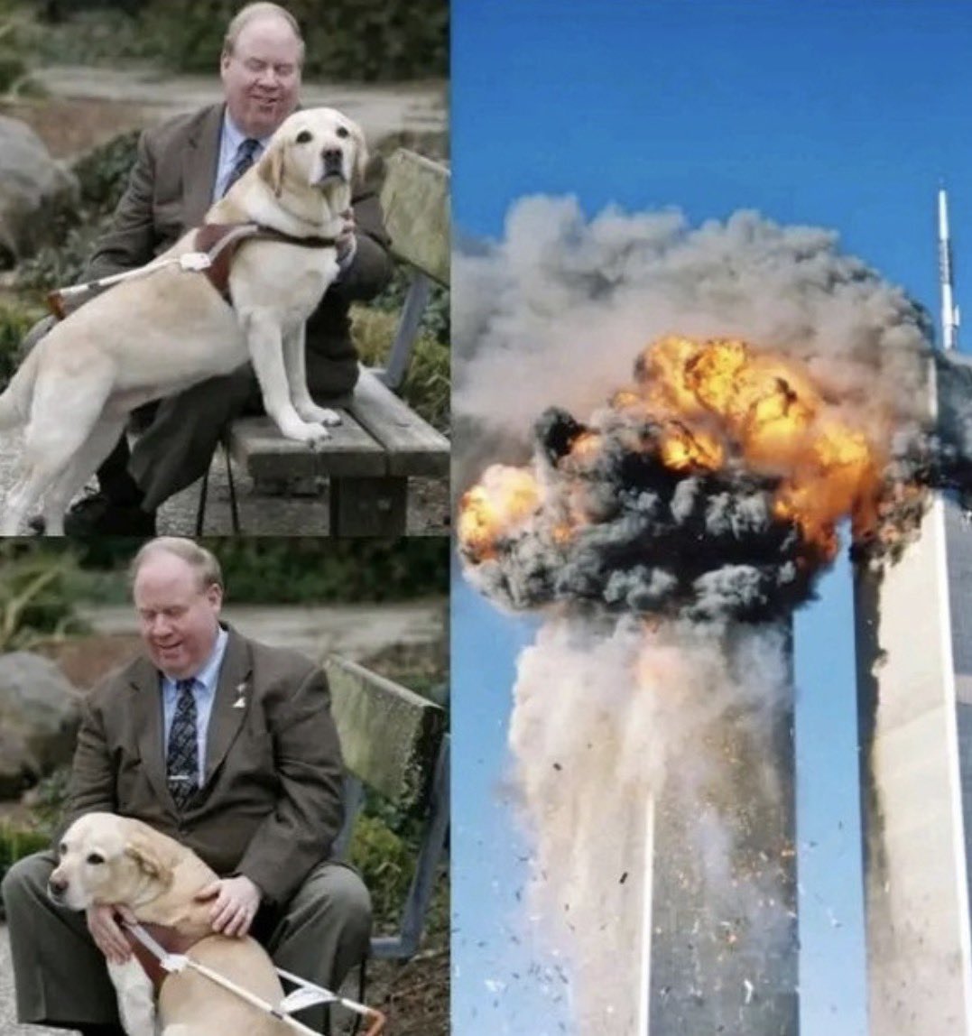 La mattina dell’11 settembre 2001, Michael Hingson era seduto nel suo ufficio al 78º piano della Torre Nord del World Trade Center. 
Cieco dalla nascita, affrontava la vita con sicurezza grazie alla sua Labrador gialla guida, Roselle. 
Alle 8:46, il American Airlines Flight 11