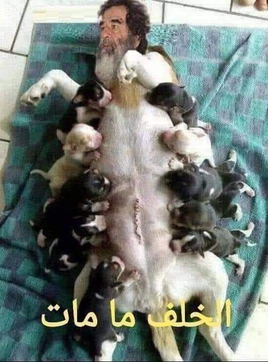 drgamjs's tweet photo. @MunaSami10 https://t.co/iZXZaNURZA