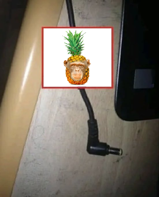 pineapple chimp tweet media