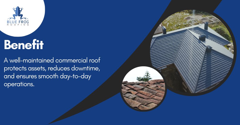 BlueFrogRoofing's tweet photo. A well-maintained commercial roof protects assets, reduces downtime, and ensures smooth day-to-day operations.
#RoofCare #CommercialRoofing #BusinessProtection https://t.co/Gu2q2h5eeq