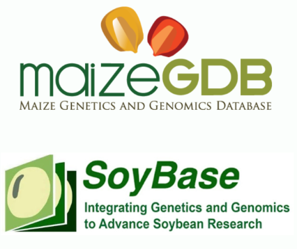 SoyBase.org tweet media