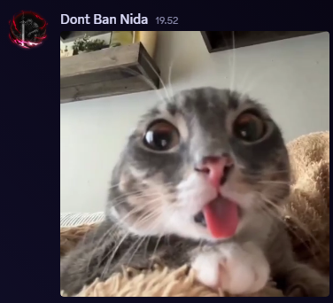 Dont Ban Nida tweet media