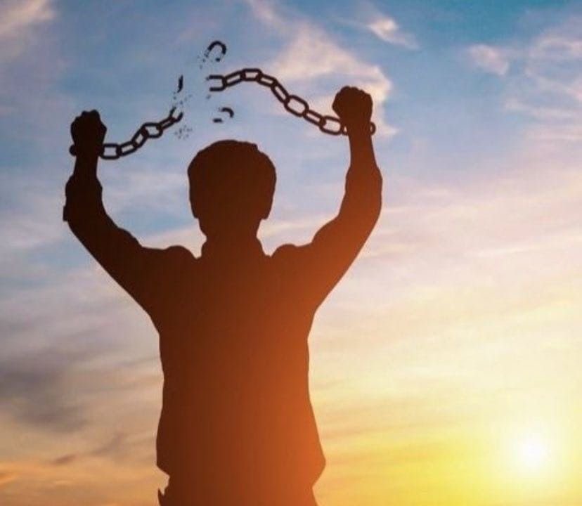elizoquinha's tweet photo. o sentimento de cancelar a matrícula na sociais https://t.co/721fcGZtPH
