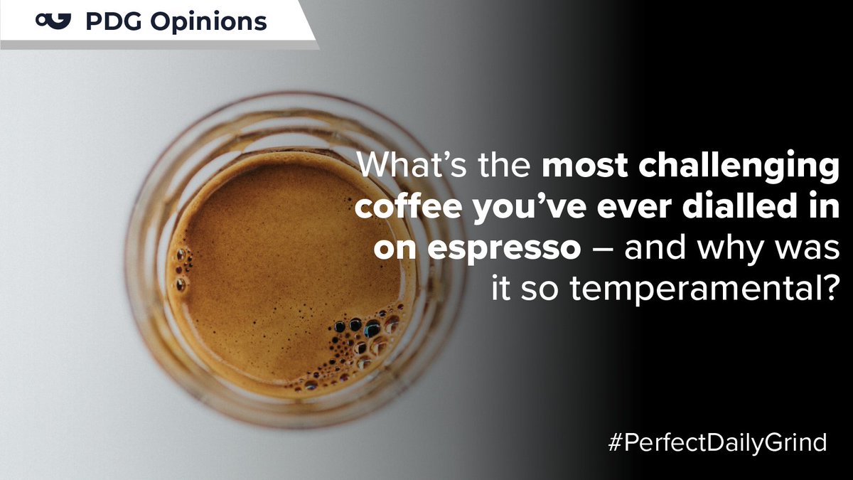 Perfect Daily Grind tweet media