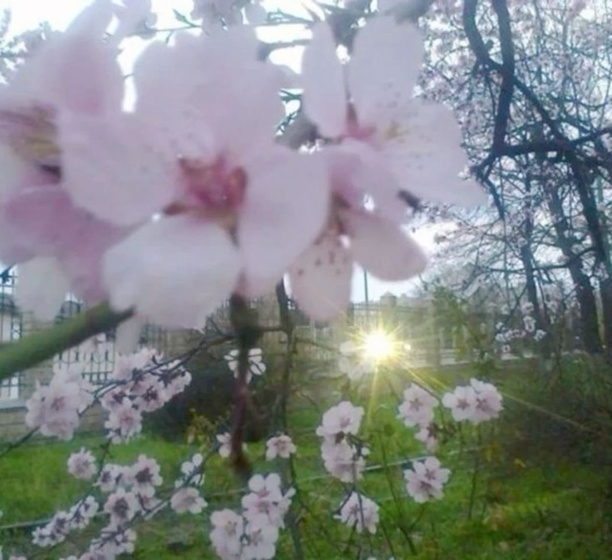 lily ≽^•⩊•^≼ tweet media