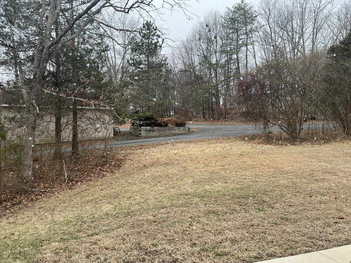 allison ⚡️ tweet media