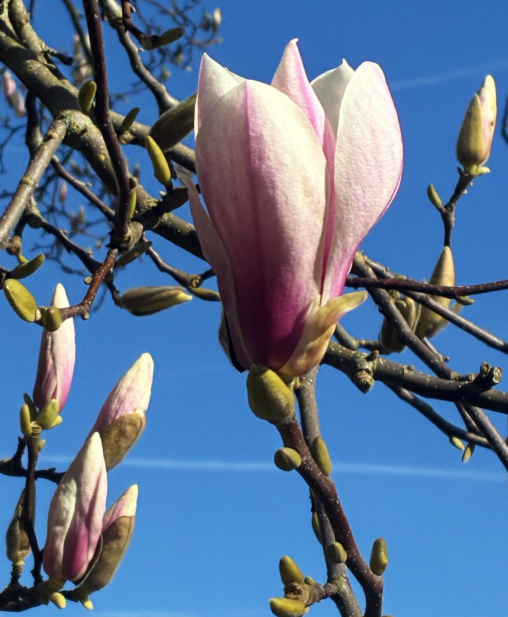 Beatrice Groves tweet media