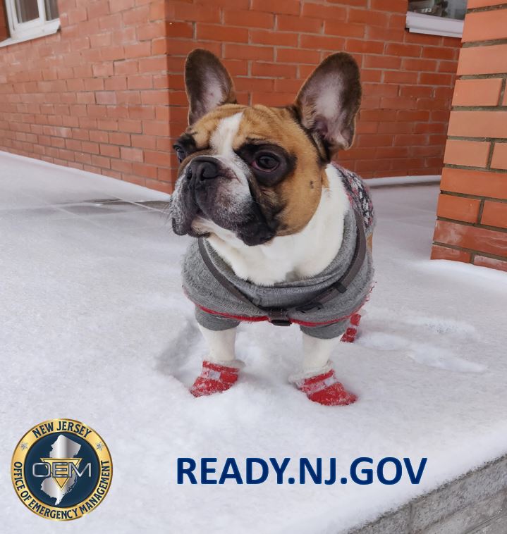 NJOEM🇺🇸 tweet media