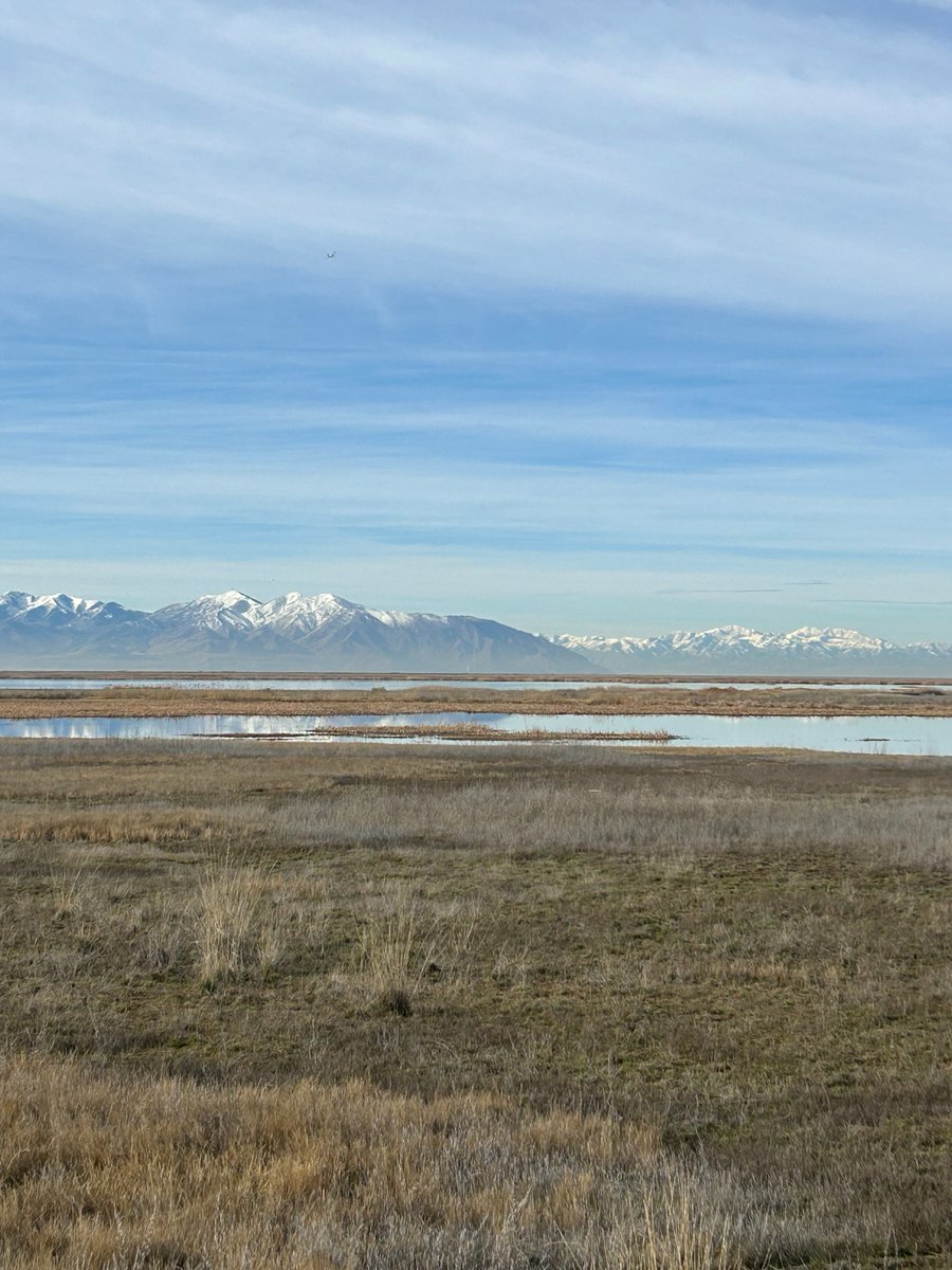 ColoradoRiverAuthorityofUtah tweet media