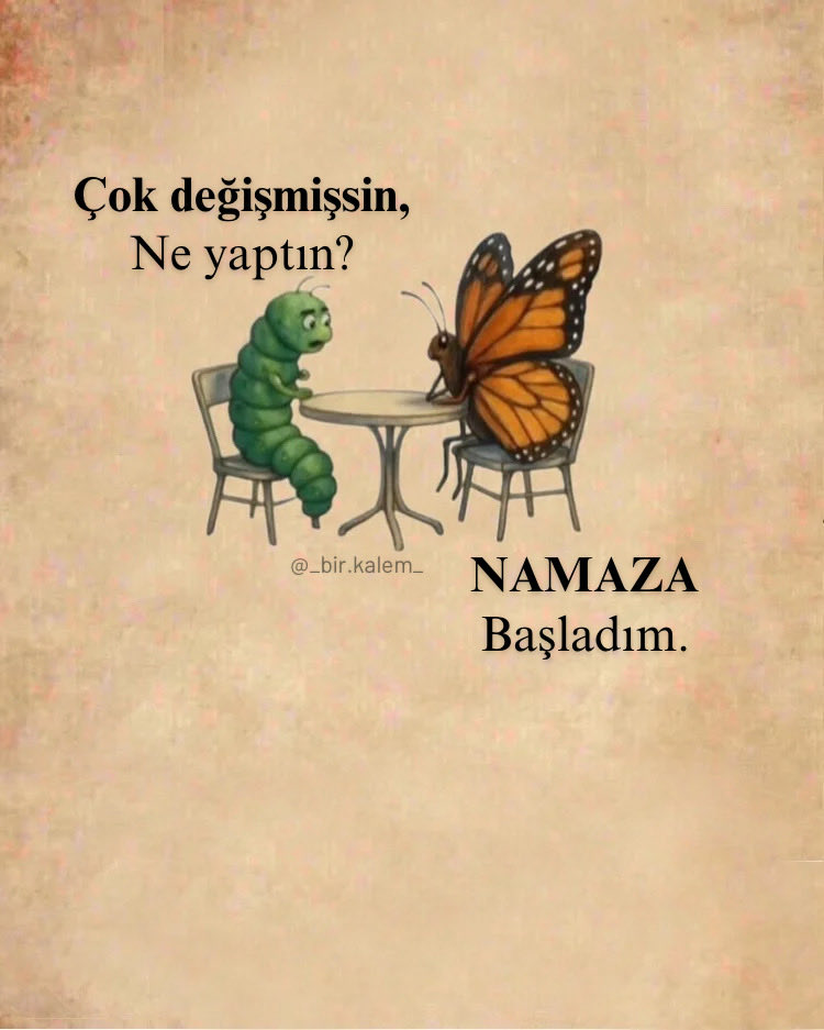 Çok değişmişsin, Ne yaptın?