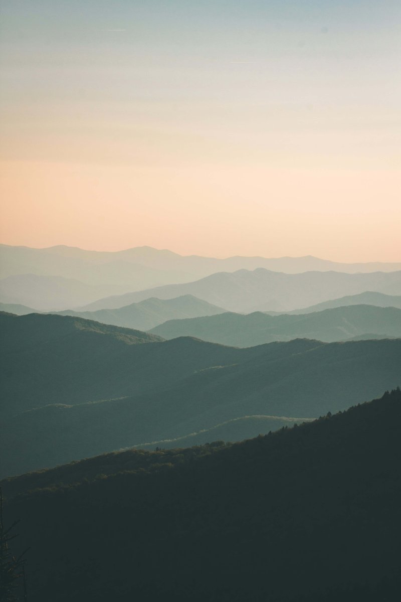 Municipal Research and Services Center tweet media