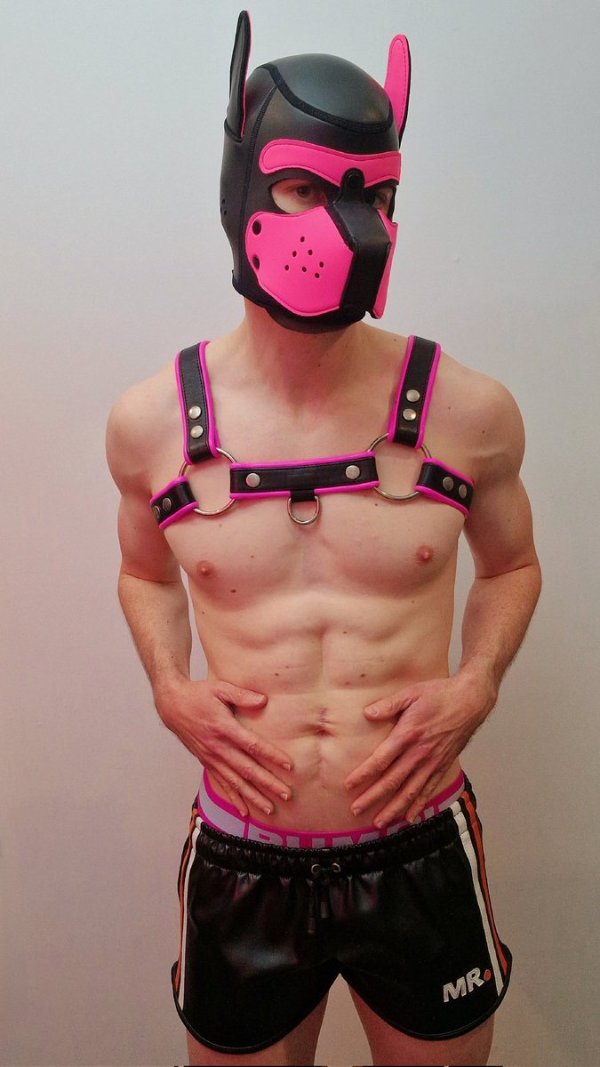 Cobalt 🏳️🌈 tweet media