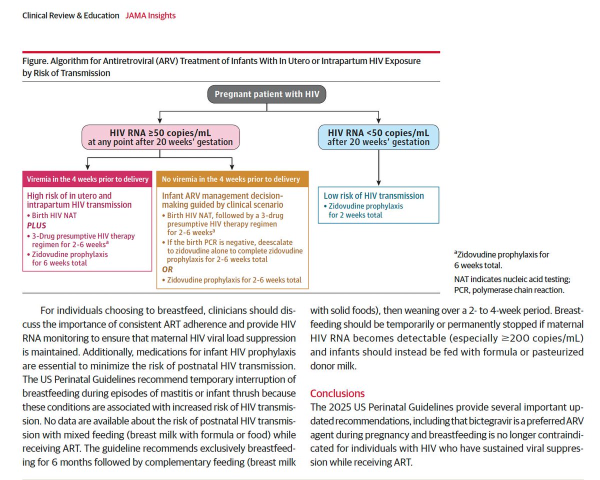 acinnacional's tweet photo. El manejo del VIH en embarazo exige TAR eficaz y carga viral indetectable para reducir la transmisión perinatal a <1%. Bictegravir y dolutegravir se consolidan como esquemas preferidos, con profilaxis neonatal según riesgo y decisión compartida en lactancia si hay supresión viral. Lea el artículo completo: https://t.co/RNAbc5jLh2 @josemillanonate  #VIH #Embarazo #Lactancia #SaludMaterna