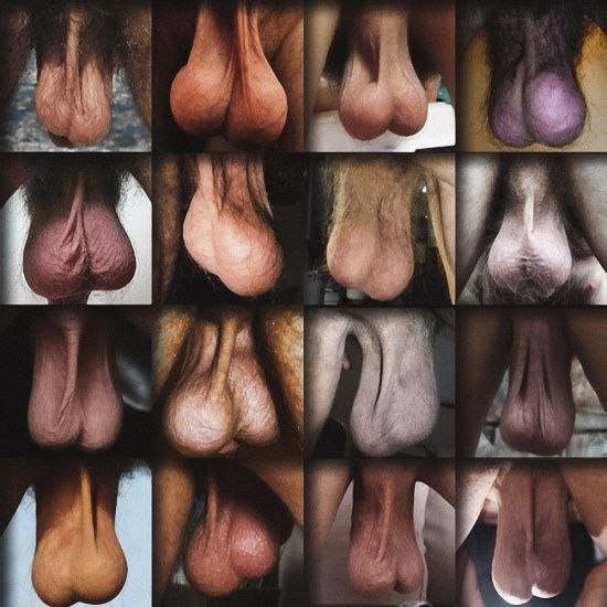 Pasu3 AG tweet media