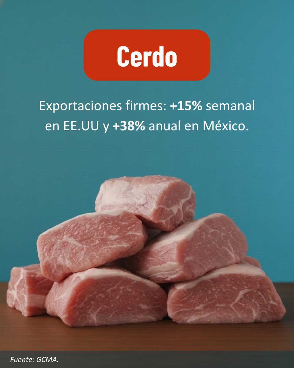 #AgrocomunidadGCMA, volatilidad y oportunidades en granos y pecuarios.

Soya en 425 USD/TM 📈 Fresa +12% 🍓 Cerdo +15% en exportaciones semanales 🐖

#Agroindustria #Agronegocios #MercadoAgroalimentario #Commodities #Ganadería #Exportaciones #InteligenciaDeMercado