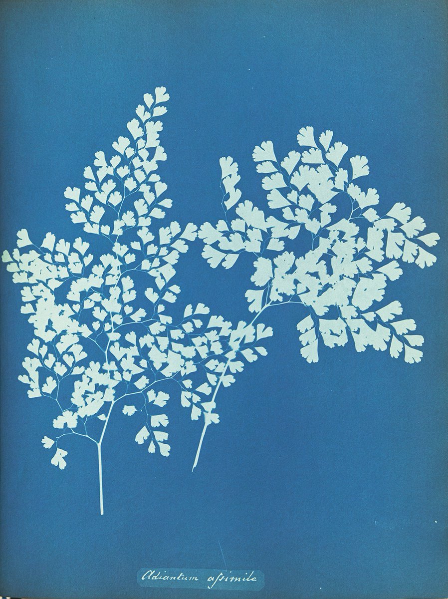 Getty Publications tweet media