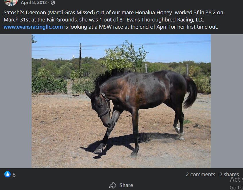 <a href="/MEXC_Official/">MEXC</a> Of course it will be Satoshi's Daemon, whose story is enough to shock everyone.
The original 2011 Bitcoin RWA experiment: community-funded racehorse named after Satoshi.
$DAEMON revives the legend on Solana.
<a href="/SatoshiDaemon/">Satoshi Daemon</a> 
HCBDsCcLAefSqeeY1RDgruX2ZWiLzVAGnYhDLx9hpump