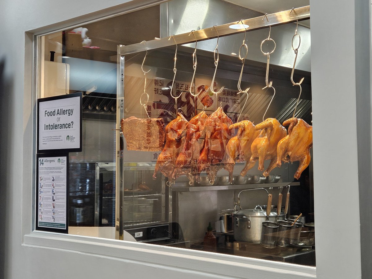 Ed Gilbert - Gourmet Gorro tweet media