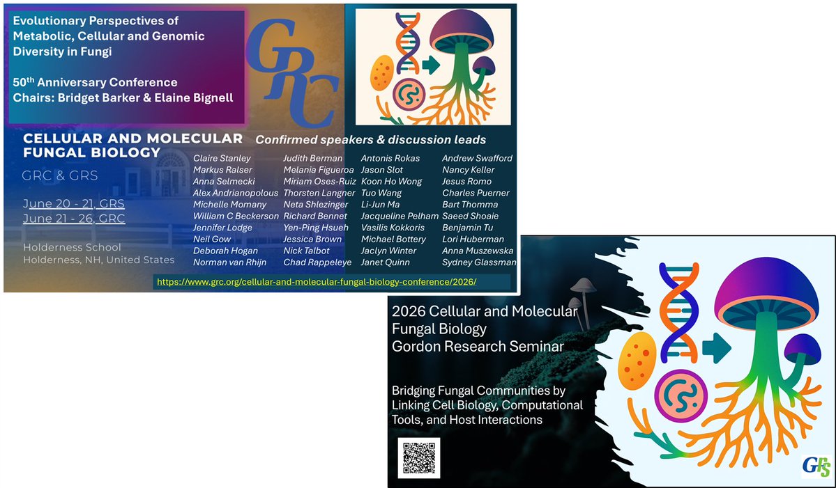 Elaine Bignell tweet media