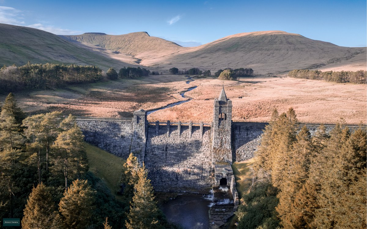 𝙃𝙚𝙙𝙡𝙚𝙮 𝙏𝙝𝙤𝙧𝙣𝙚 tweet media