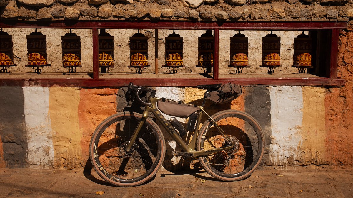 LOOK Cycle tweet media