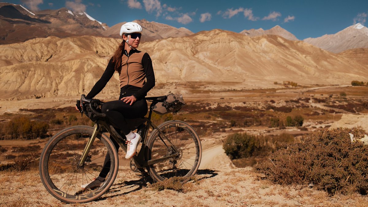 LOOK Cycle tweet media