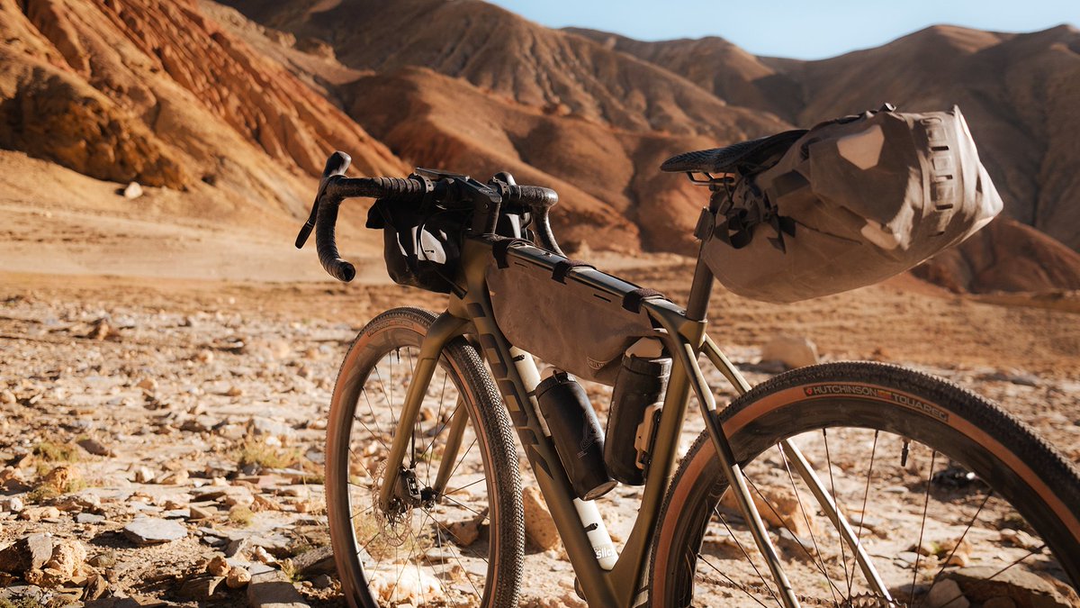 LOOK Cycle tweet media