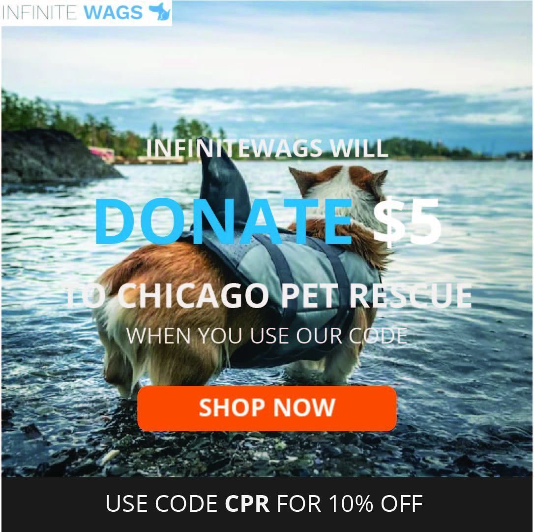 cprRescue's tweet image. Use code:  CPR, for 10% off your online purchase, at Infinite Wags &amp;amp; they will donate $5 to our rescue, at no additional cost to you!  Save lives &amp;amp; shop online!  #infinitewags, #savealife, #shoponline, #spoilyourpet, #supportcpr