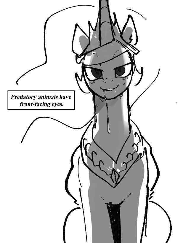 Night Star tweet media