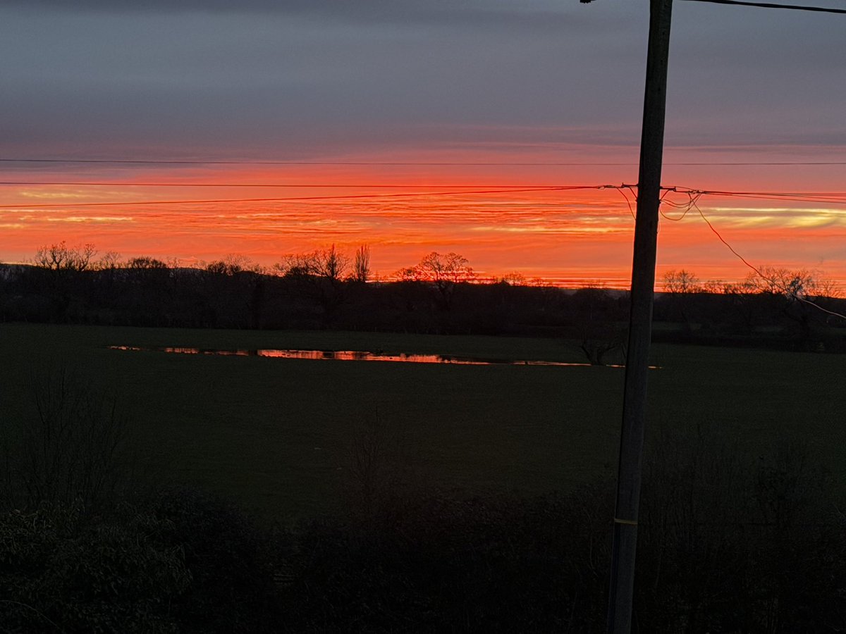 Phil Woollen tweet media