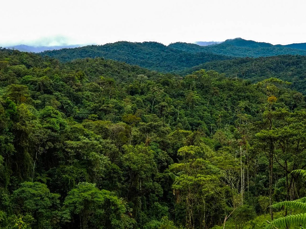 Fondo de Inversión Ambiental Sostenible - FIAS tweet media