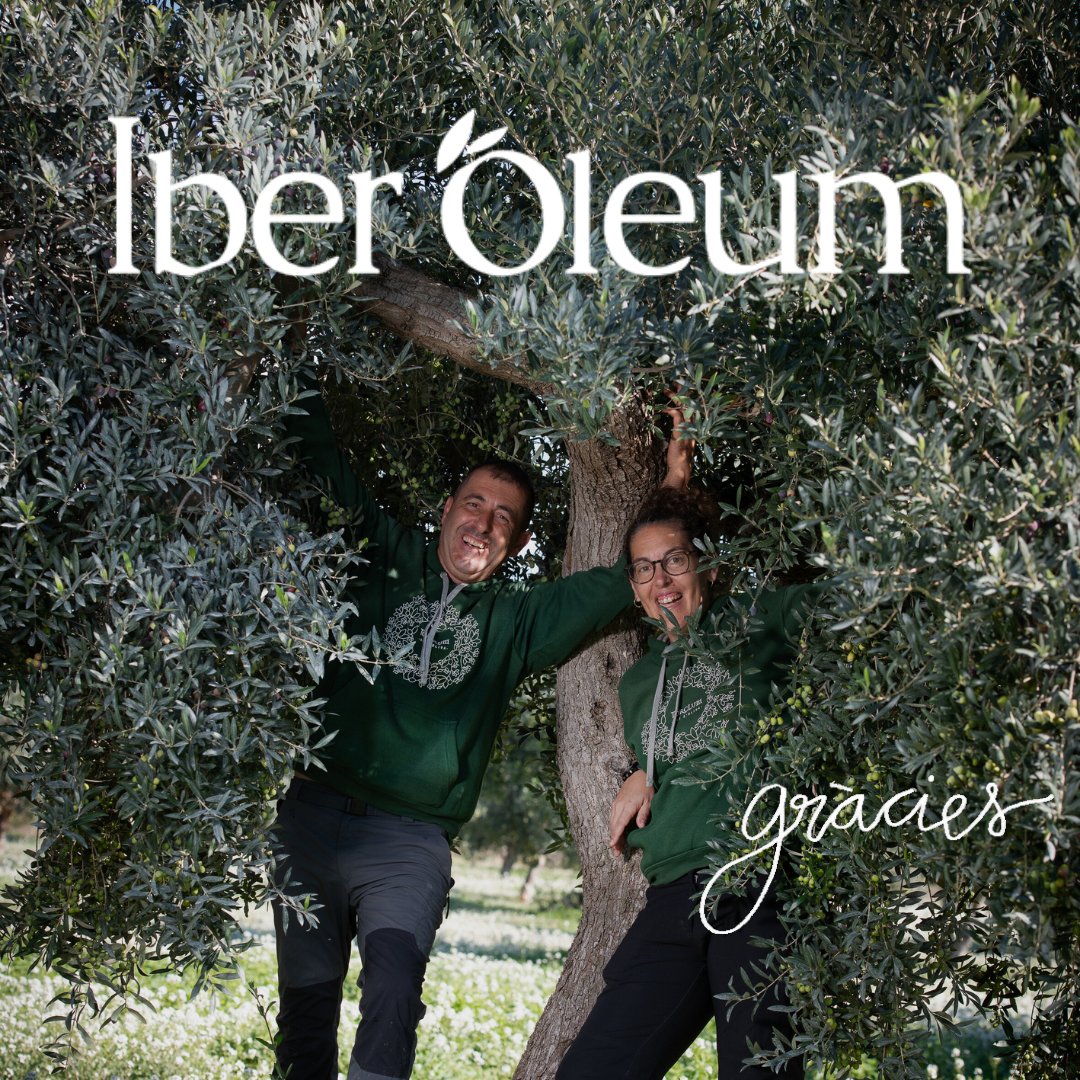 Torclum oli d'oliva tweet media