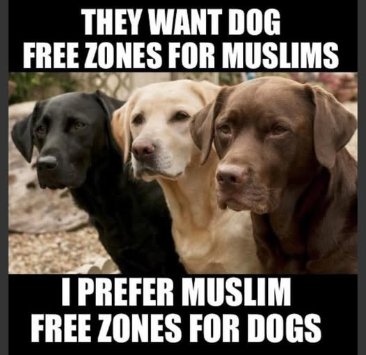 <a href="/ksorbs/">Kevin Sorbo</a>