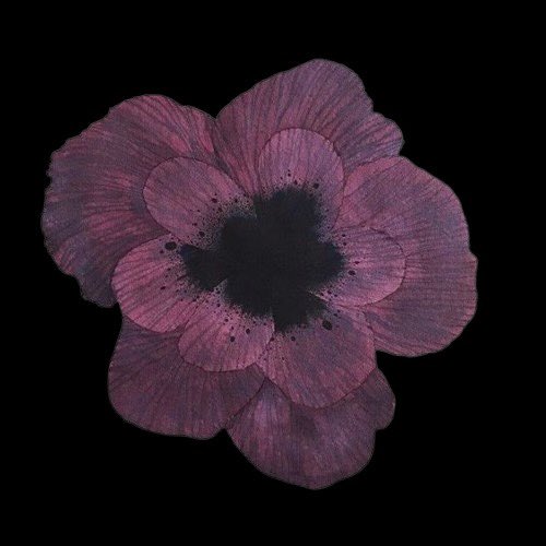 𖥔 ࣪˖ 𝓓𝓪𝔂𝓼𝓲 ⏾*:･ tweet media