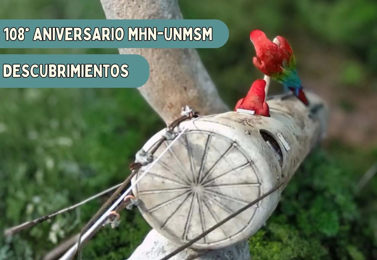 Agencia Andina tweet media