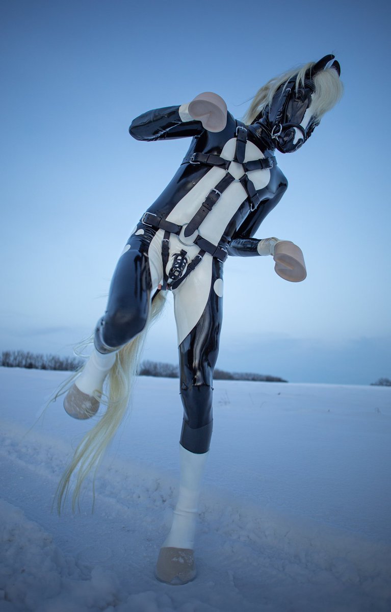 Wild Horse tweet media