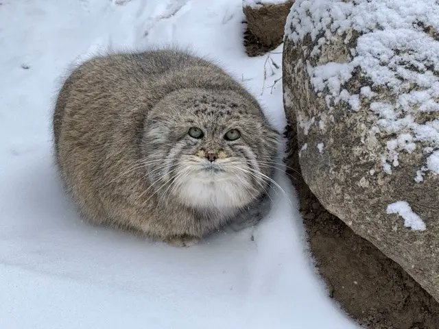 warksoid tweet media