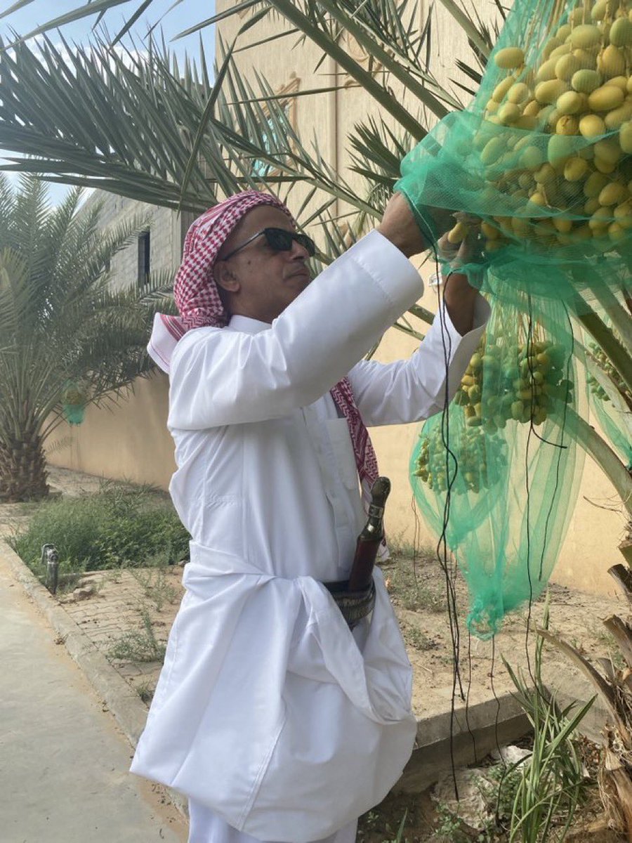 #الاستدامة
 التنمية السياحية الأصيلة هي التي تُعطي المكان قلباً ينبض بالعيش، لا وجهاً يُعرض في الأسواق، أو (Not as a Window Dressing)
#انطولوجيا_التنمية 
#فلسفة_فلَّاح
#نجران