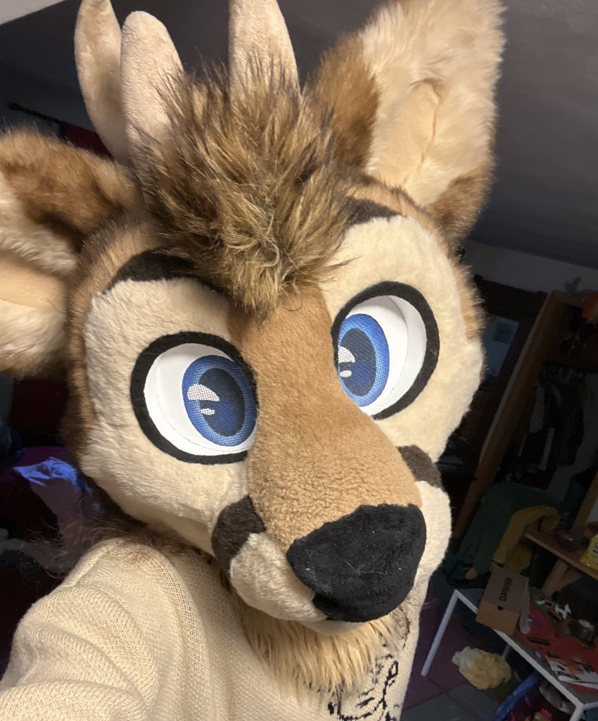 Gamble Weh Deer tweet media