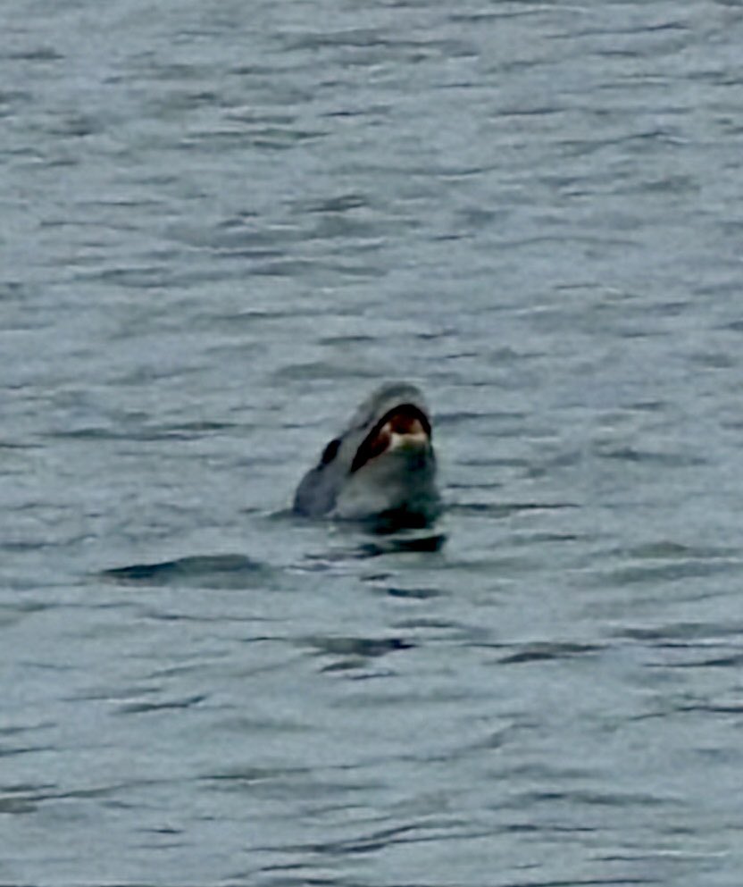 Chris Hart tweet media