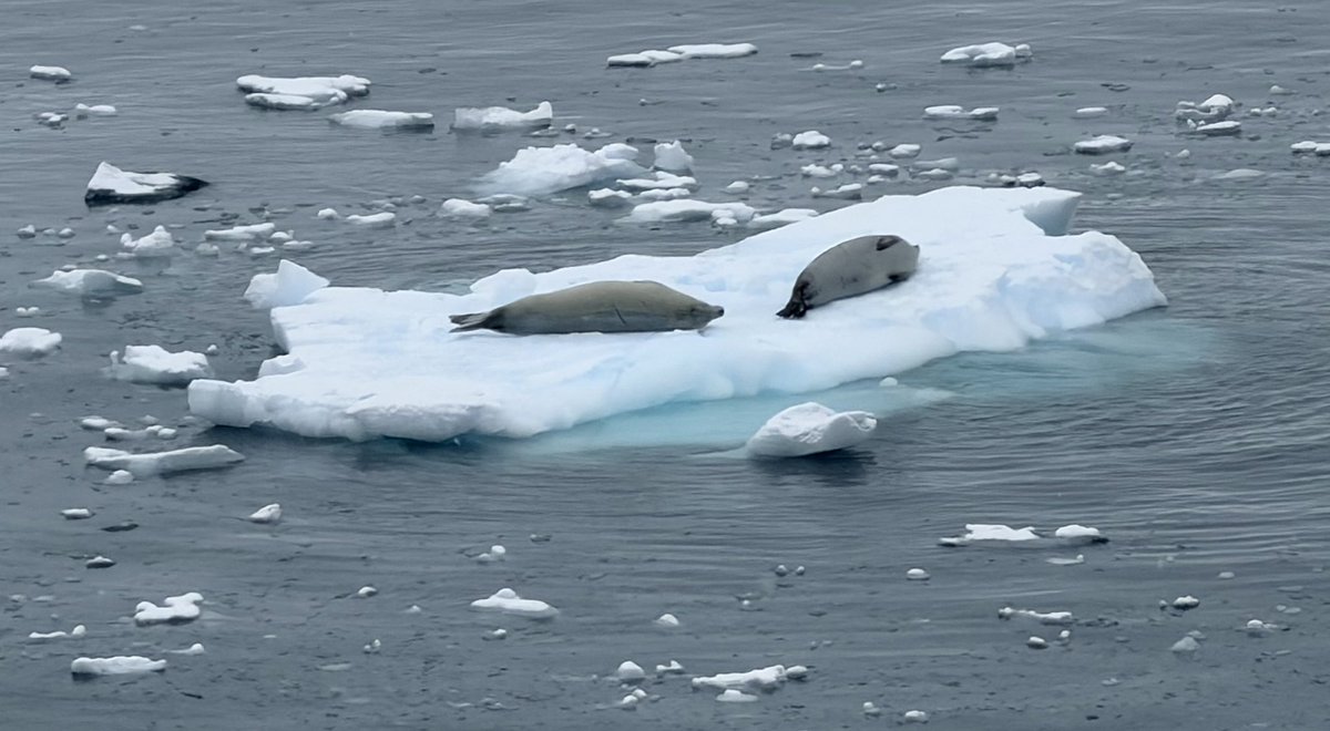 Chris Hart tweet media