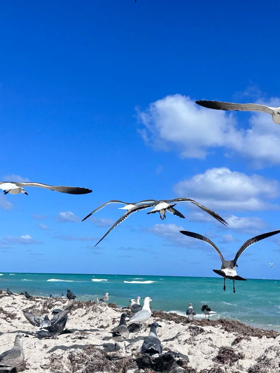 Limerence_Eth's tweet photo. Don't fly away! https://t.co/zh3okqZdIF