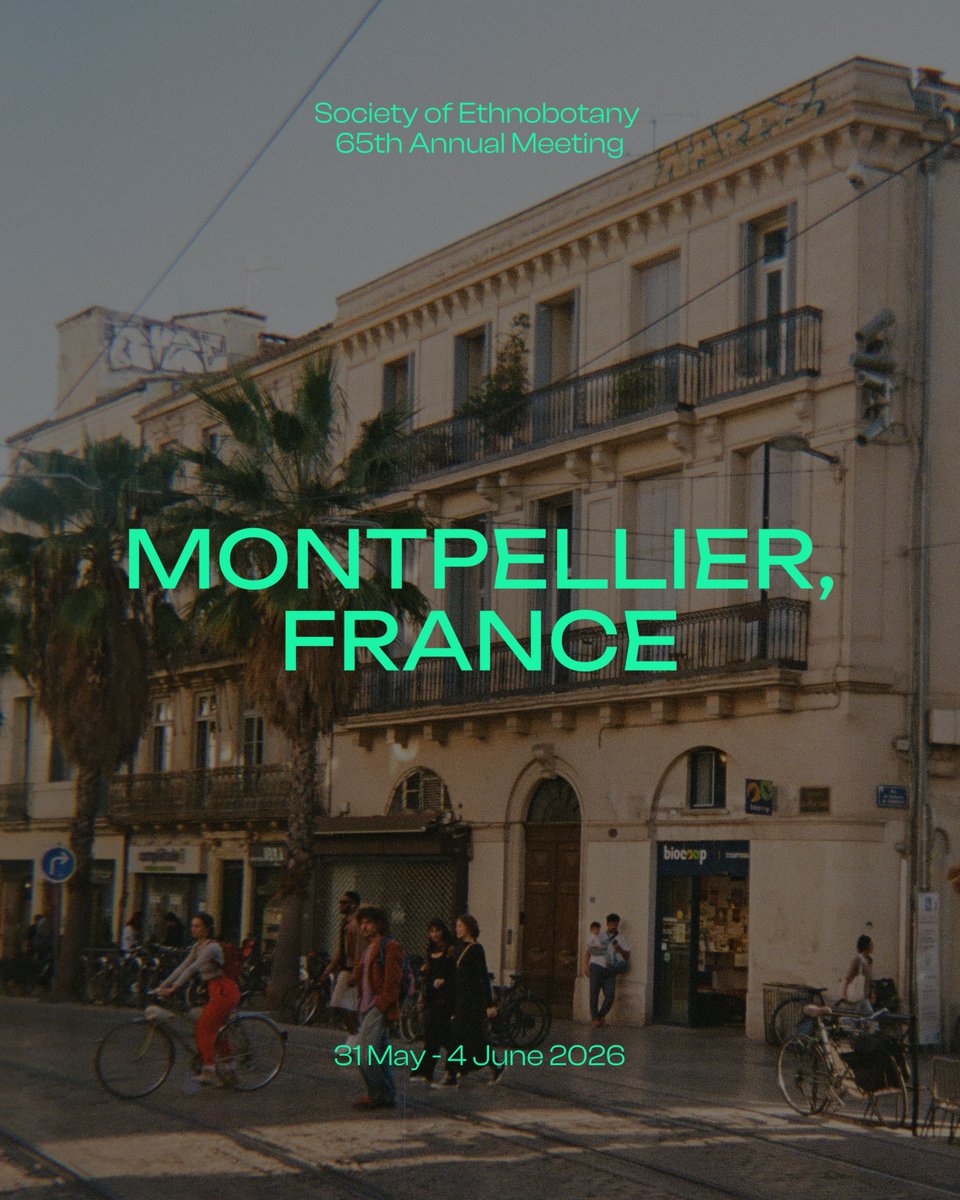 Society for Ethnobotany tweet media