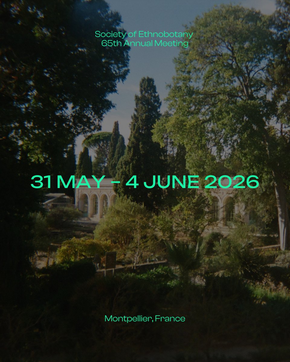 Society for Ethnobotany tweet media