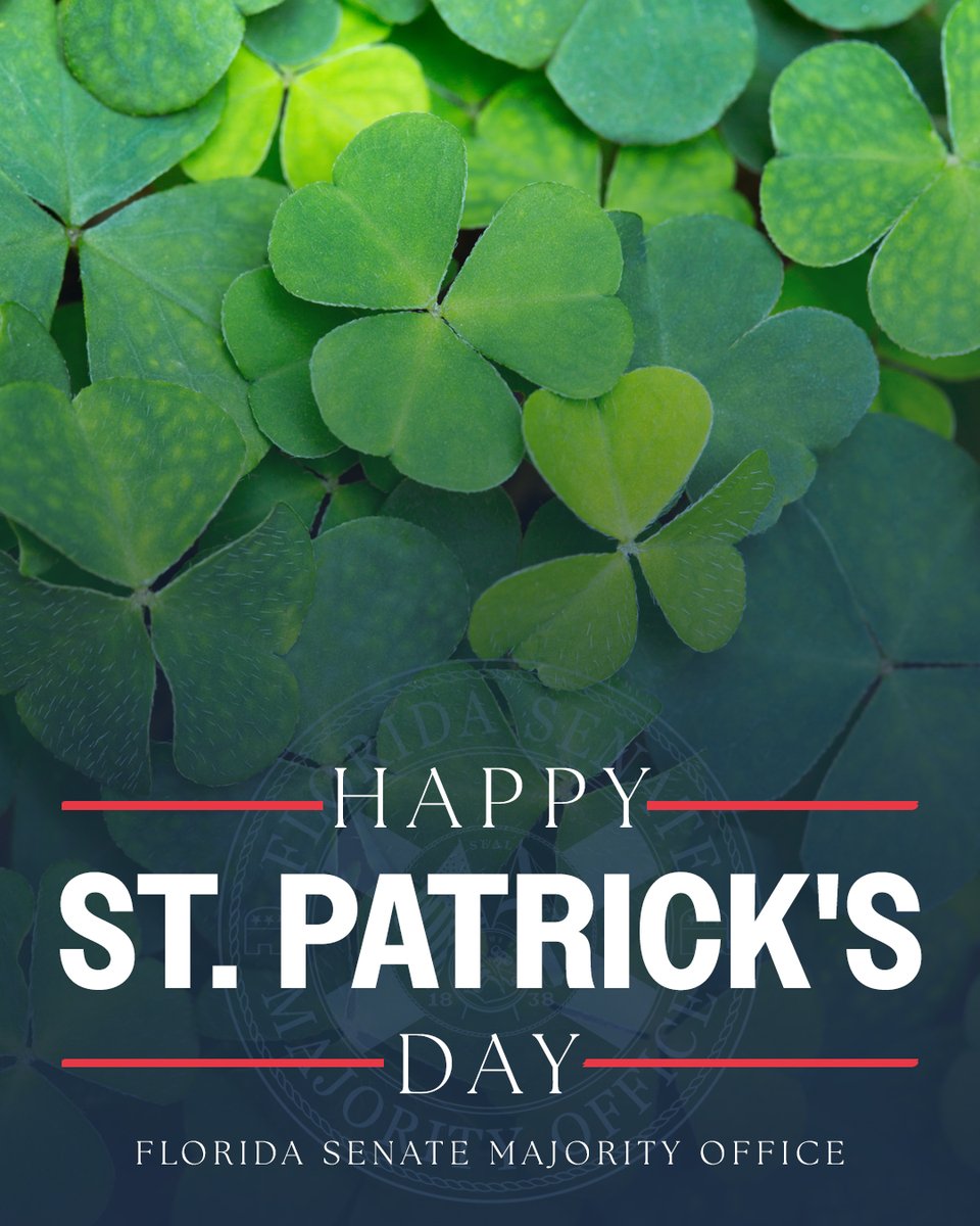 FL Senate Majority tweet media