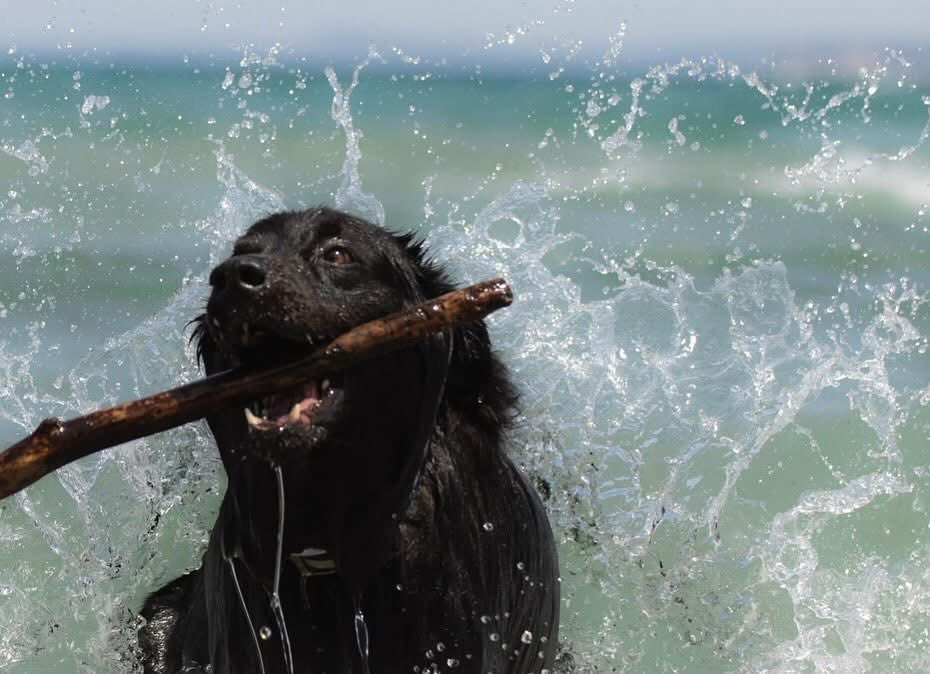 Howard Lovy tweet media