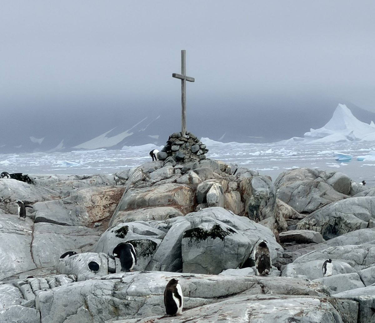 Chris Hart tweet media