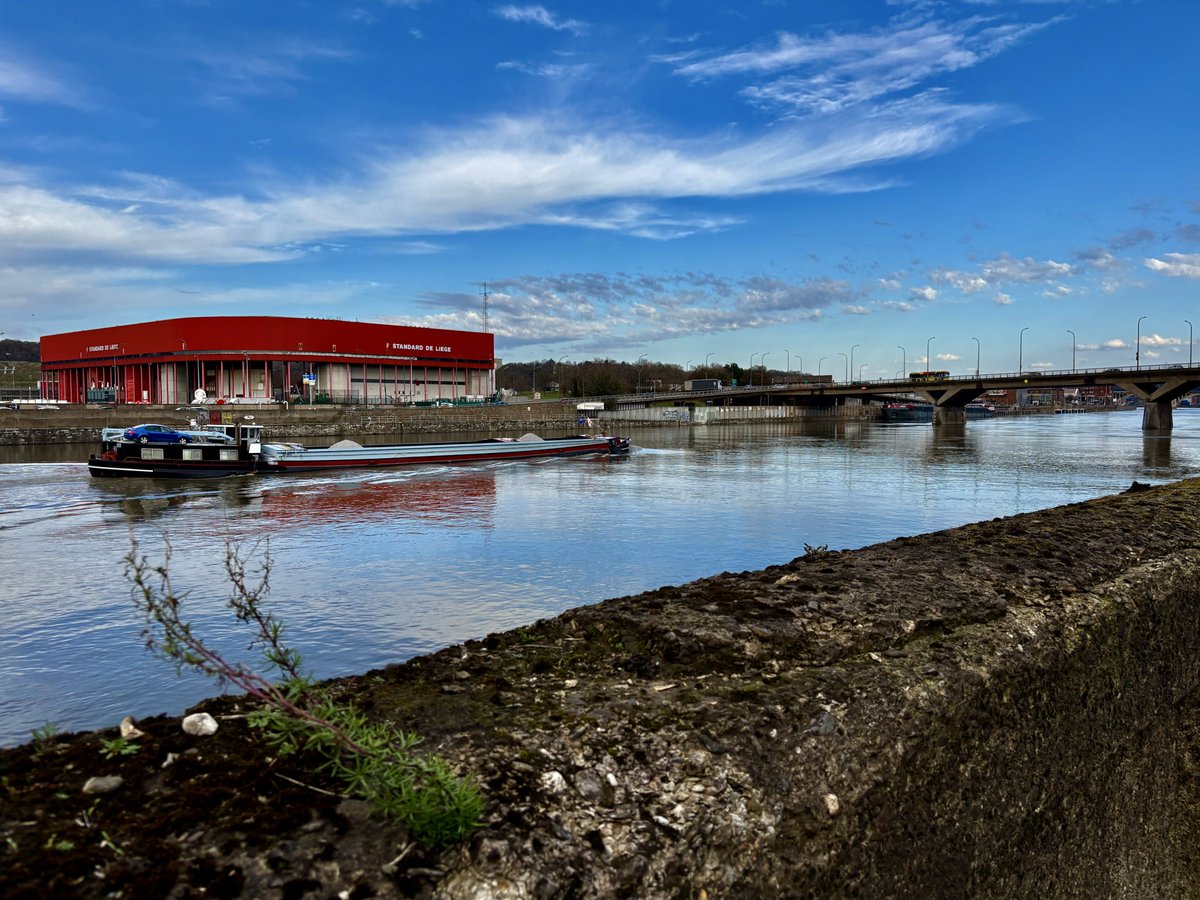 rwilkowski1 tweet media