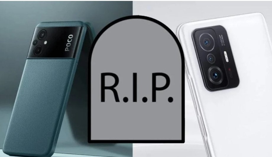 Ϛϱ⍴ж неग़ƤuŦyƛA 4149 4998 0278 5889 Р.С. tweet media